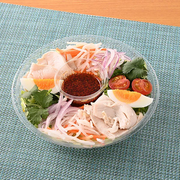 【東京都の一部・神奈川県の一部】国産チキンとパクチーのエスニックサラダ