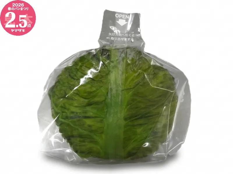 高菜の葉おむすび（ザーサイ高菜とたくあん）