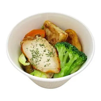 チキンとゴロっと野菜のスープカレー